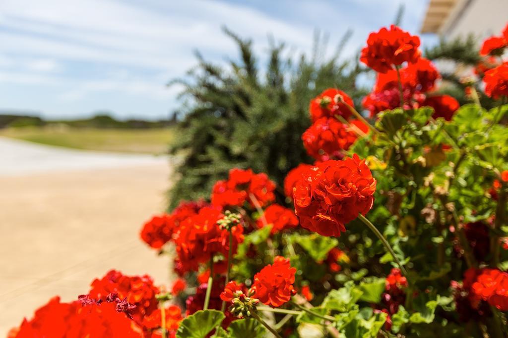 Wytonia Beachfront Accommodation Port Fairy Bagian luar foto